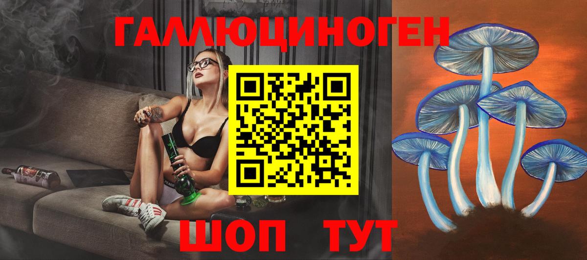 Псилоцибиновые грибы Cubensis Рыбинск